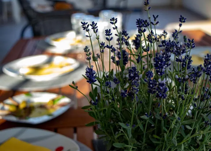 Willa Initium,heated Pool Season